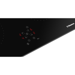 Электрическая панель Hansa BHC66577