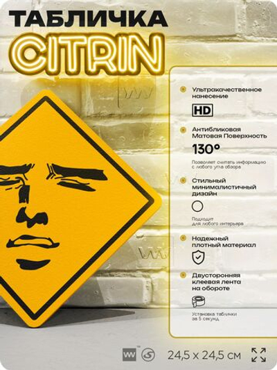 Табличка "Мем лицо" шуточная прикольная на дверь и стену, для офиса и дома, декоративный знак, 24,5х24,5 см, пластиковая, Айдентика Технолоджи