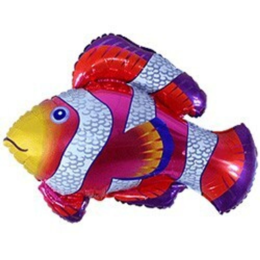 F Мини-фигура, Рыбка-Клоун, 14&quot;/38 см, 5 шт.