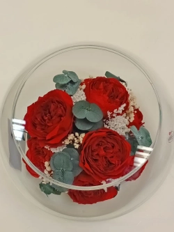 натуральные пионы в стекле, вакуум*