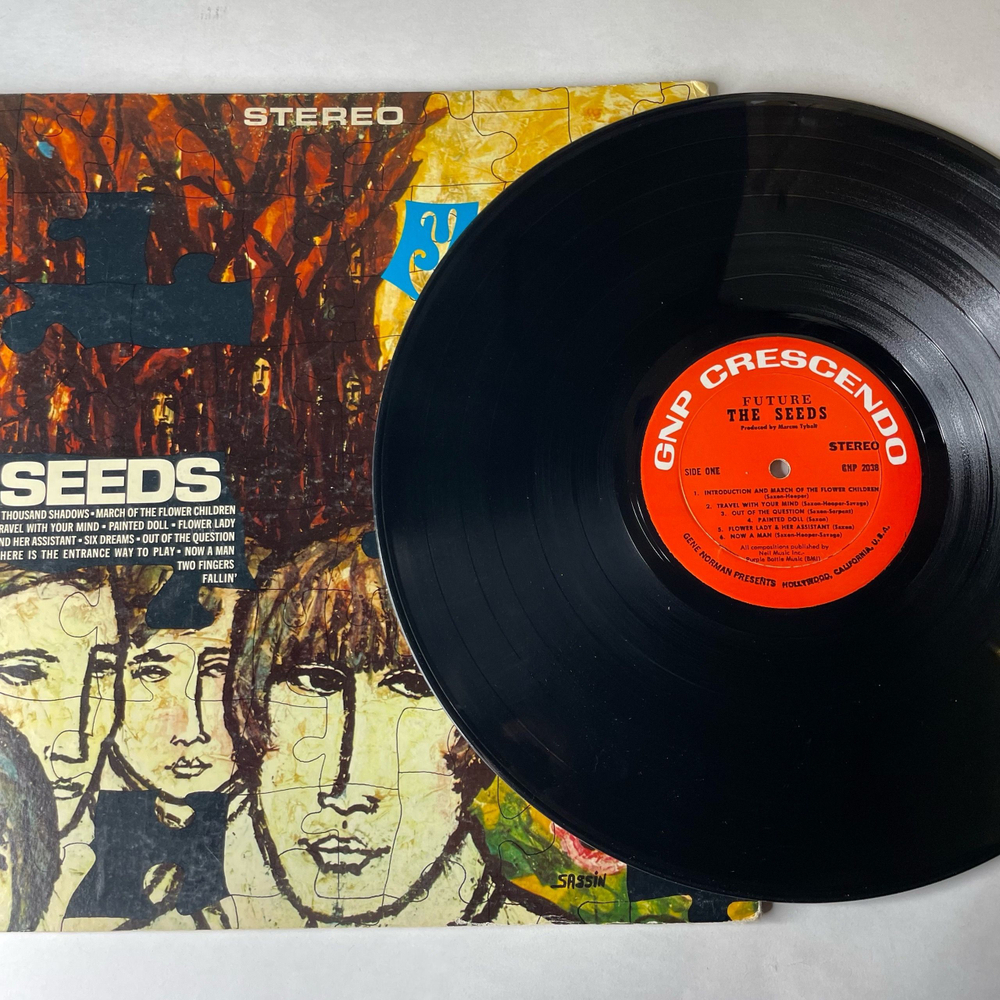Винтажная виниловая пластинка LP The Seeds Future (США 1967)