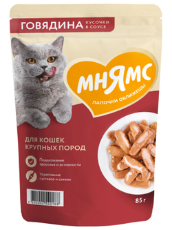 Влажный корм Мнямс На каждый день Кусочки в соусе с говядиной для крупных кошек 85 г