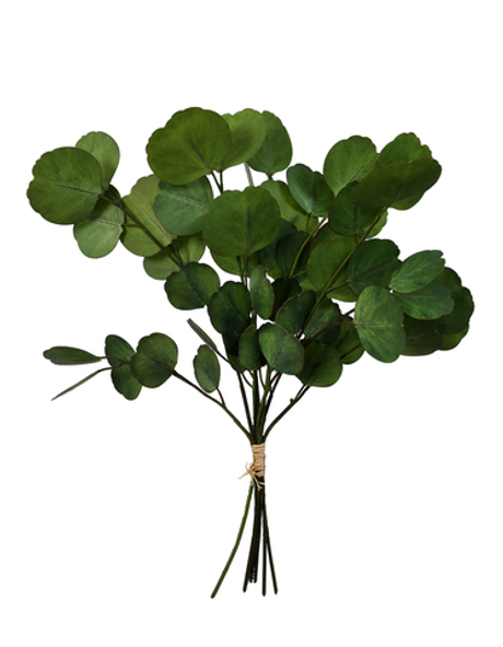 Пучок эвкалипта серебряный $ HQ (8 веточек) - Сине-зеленый