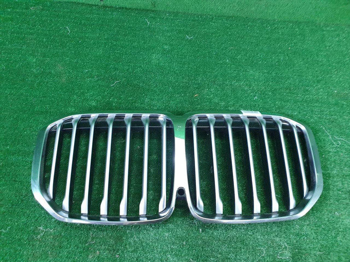 Решетка радиатора BMW X7 G07 (2019-2022)