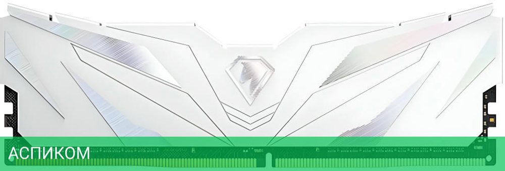 Оперативная память Netac DDR4 16GB 2666MHz (NTSWD4P26SP-16W)
