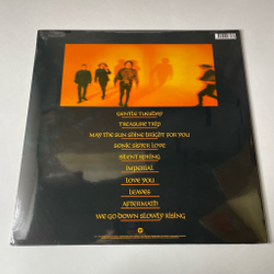Виниловая пластинка LP Primal Scream Sonic Flower Groove (EU 2015)