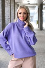 Джемпер Др5-484/4 Wisell (Акция)