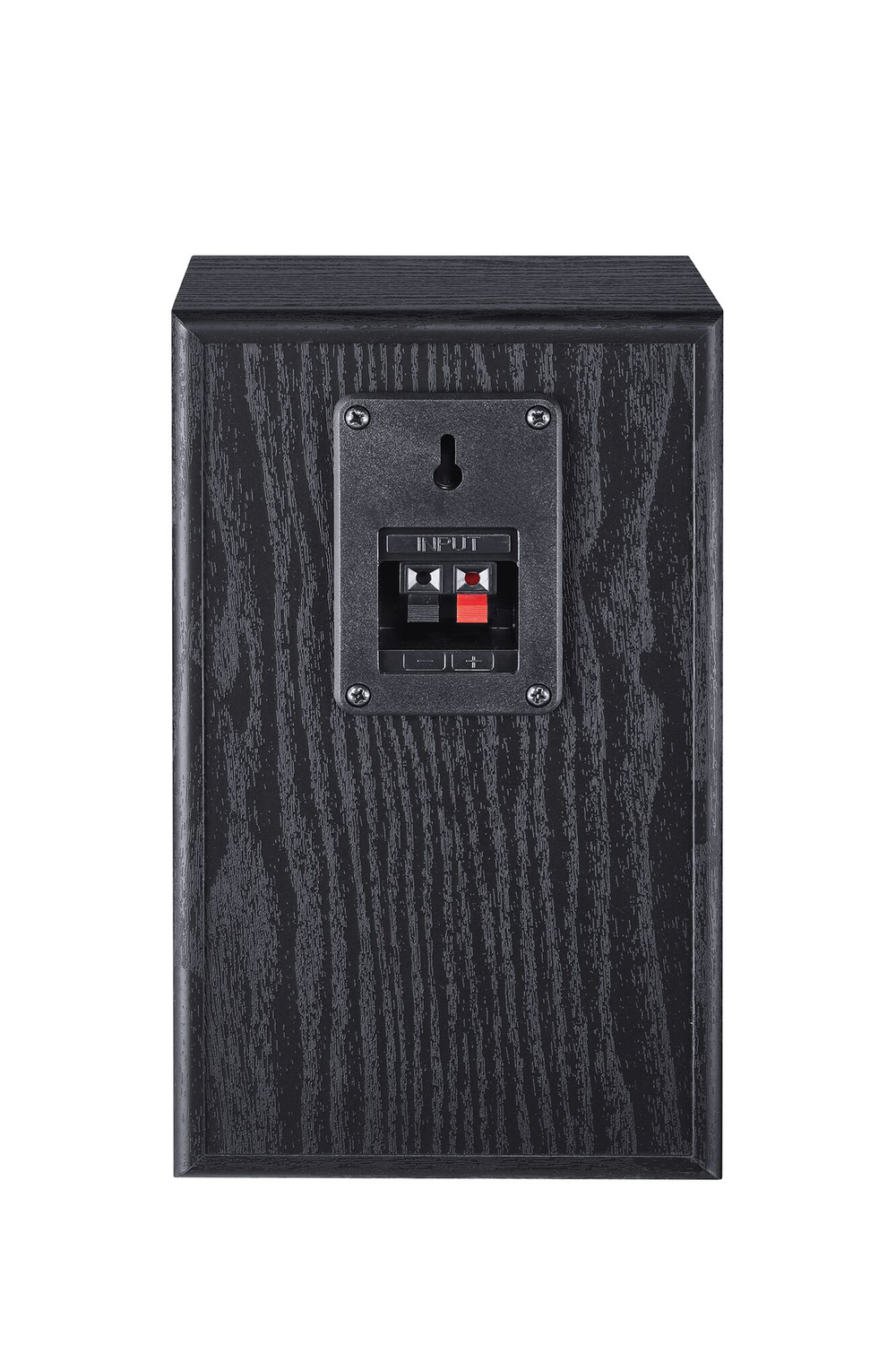 Magnat Monitor S10 D