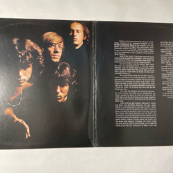 Винтажная виниловая пластинка LP The Doors Weird Scenes Inside The Gold Mine (США 1972) Riders On The Storm
