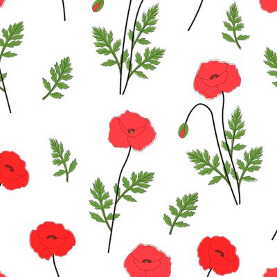 Цветы маки. Полевые цветы. Прованс