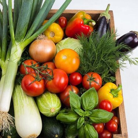 Семена овощей