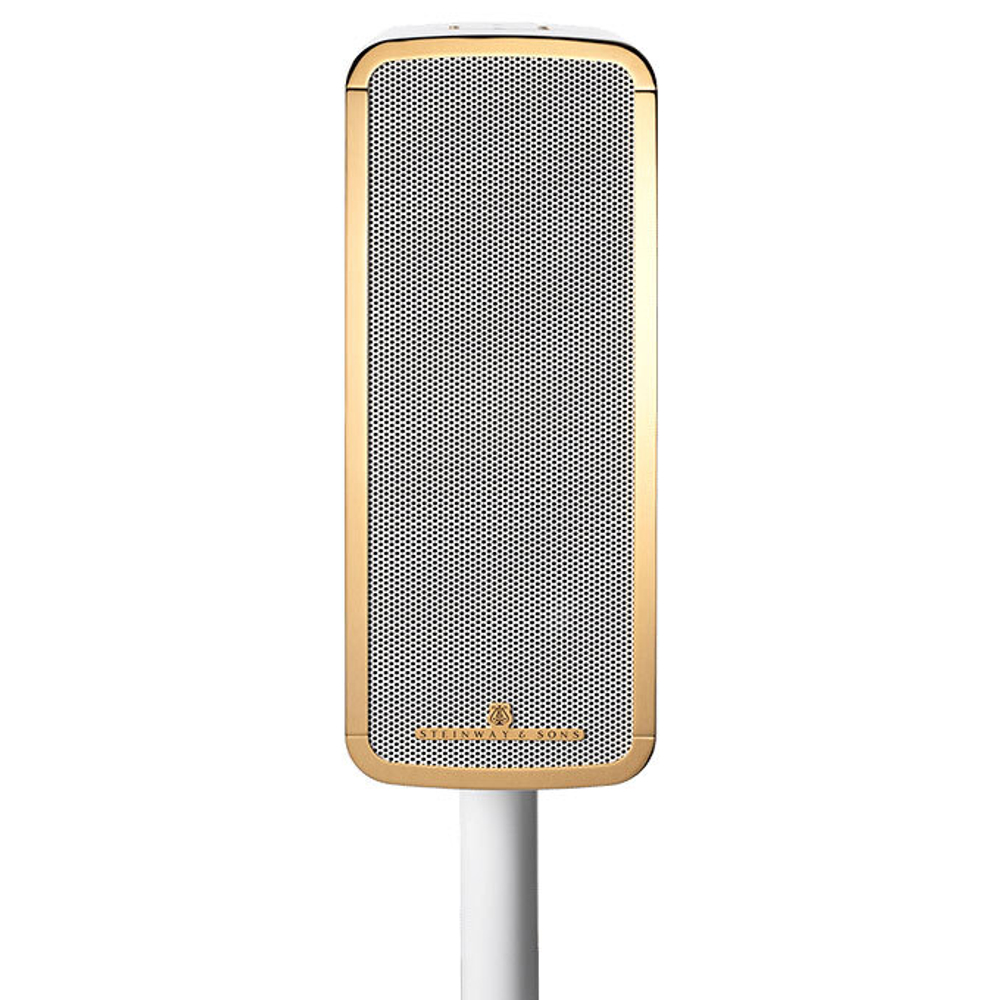 Напольная акустика Steinway Lyngdorf Marine Speaker