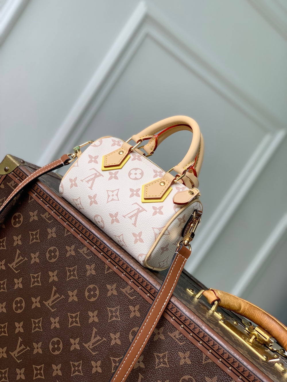 Louis Vuitton Nano Speedy