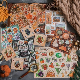 AUTUMN COLLECTION