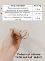 Жердочка для птиц 15см