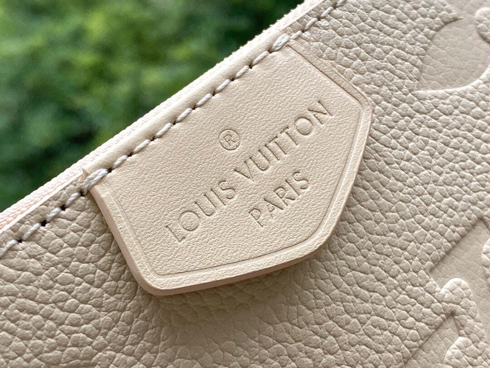 Louis Vuitton Multi Pochette Accessoires