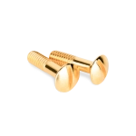 Винты для распределительной коробки/TVрозетки 2 шт. (золото) Ретро WL18-22-01