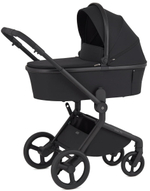 Детская коляска Anex Flo x Avionaut Cosmo 3 в 1 без адаптеров Lungo/ss-06 Black