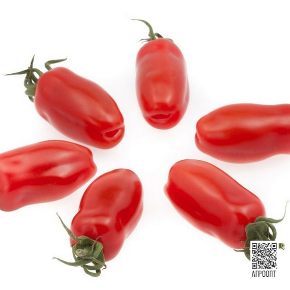 Идолини F1 семена томата индетерминантного (Rijk Zwaan / Райк Цваан) плод – фото 3