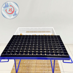 Перекладчик яйца для инкубационных лотков 730х500 мм (Petersime)