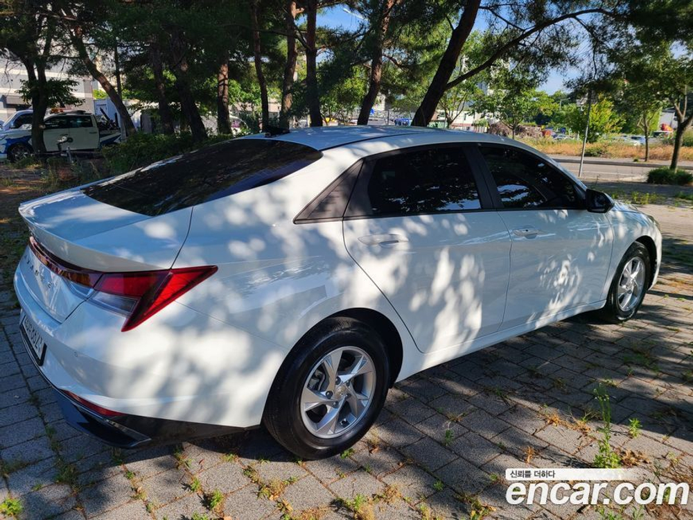 Hyundai Avante (CN7) 1.6 (12.2020)