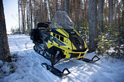 Снегоход Рыбак Торос 600S 800Pro