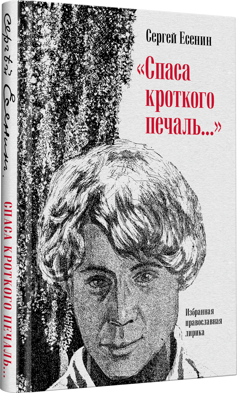 "Спаса кроткого печаль..." Избранная православная лирика