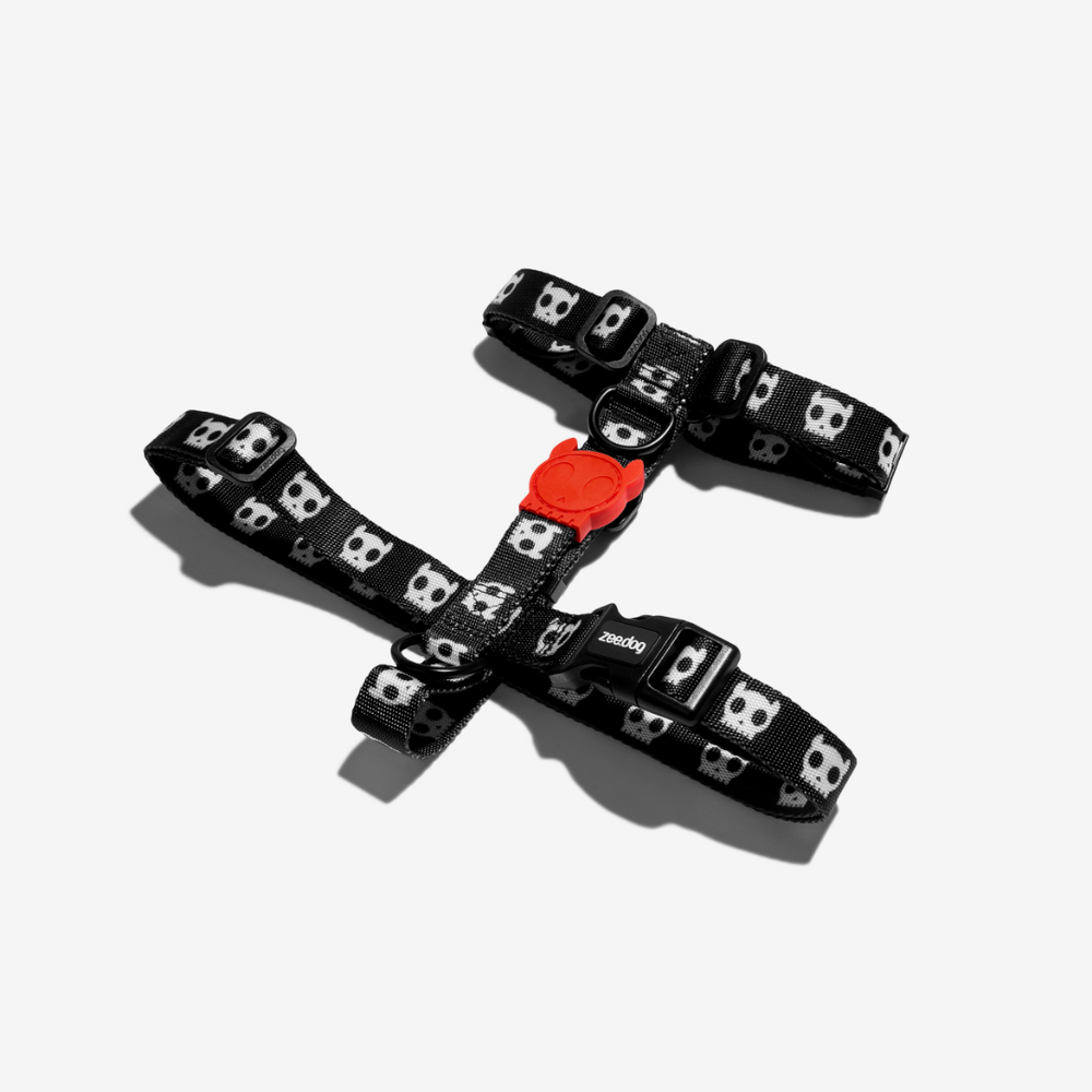 Шлейка SKULL 2.0 Zee.Dog