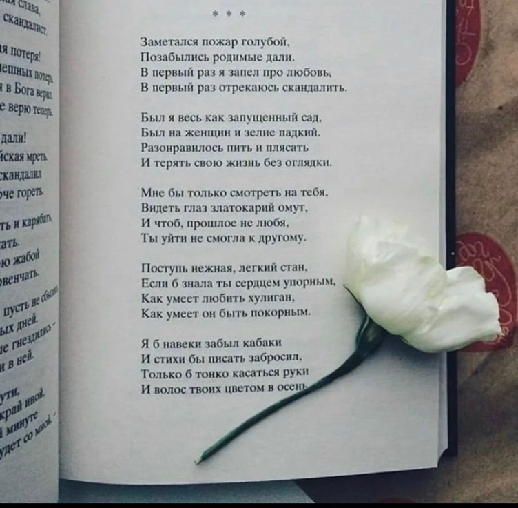 "Заметался пожар голубой" — это не просто стихи, это чистая эстетика тоски и страсти, вывернутая наружу.