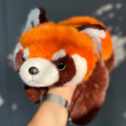 Красная панда