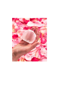 Garnier Skin Naturals - мицеллярная вода с розовой водой /   100  ml  / GTIN 3600542327411