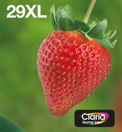 Картридж струйный Подлинный Черный Голубой Пурпурный Желтый Epson Strawberry C13T29964511 1 шт