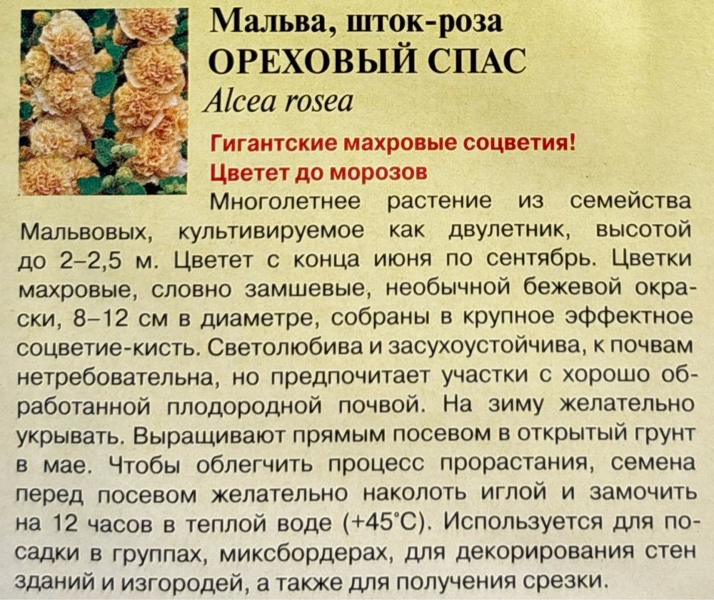 Мальва Ореховый спас 0,2 г СМЦ-948