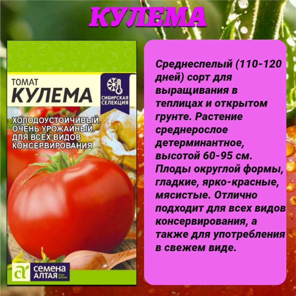 Лучшие сорта томата: Кулема, Цыпочка и Бычье сердце. Семена Алтая