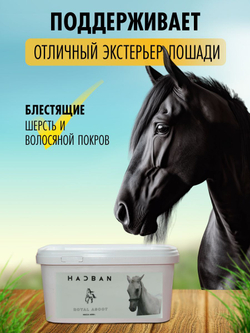 премикс для лошадей кормовая добавка