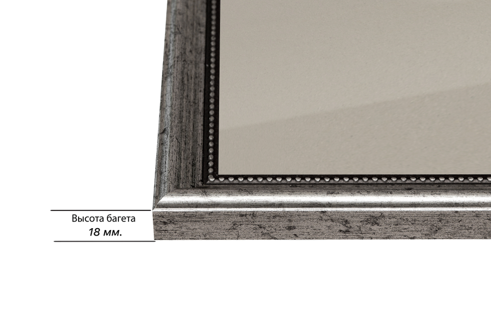 Рамка 65x100 для постера и фотографий RPS1290360-02