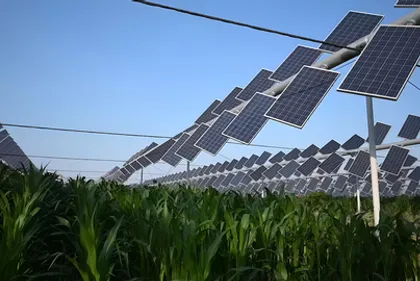 Как затенение сельскохозяйственных культур солнечными панелями может увеличить сельское хозяйство, сократить затраты на продукты питания и уменьшить выбросы