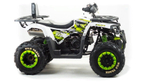 Квадроцикл MOTOLAND ATV 200 Wild Track