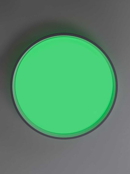 Светильник потолочный Citilux ENZO CL753453G