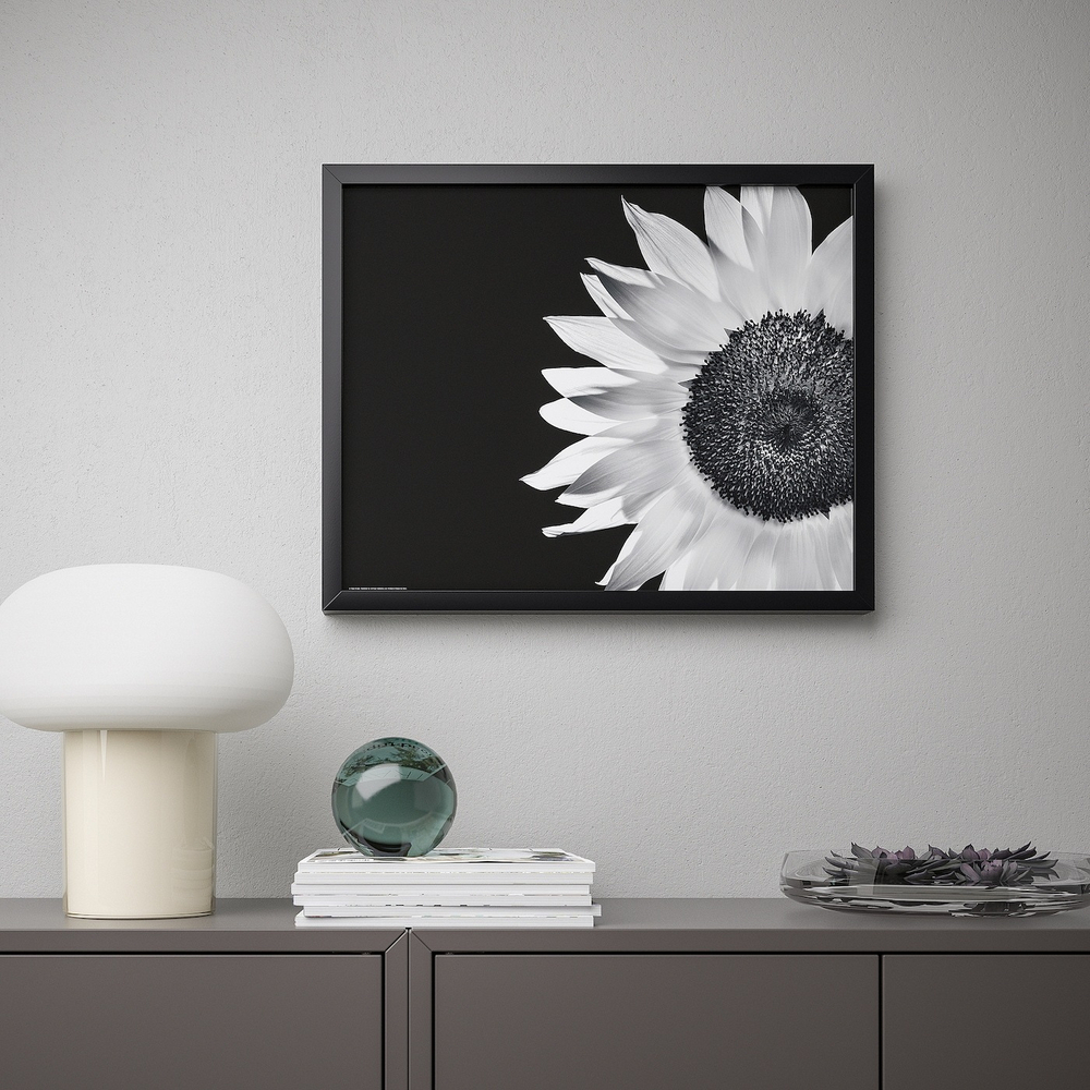 IKEA BILD  (ИКЕА БИЛД)  -  Плакат, Подсолнух, 40x50 см