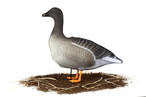 Гусь гуменник S-XPE 3D мод. G622-3D