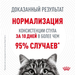 Тонкие ломтики в соусе, 85г Digestive для здоровья пищеварительной системы Royal Canin