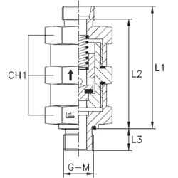 Клапан обратный с наружной резьбой DS20 BSP 3/4 выпускной (корпус)