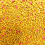 Осмокот екзакт стандарт 3-4 мес