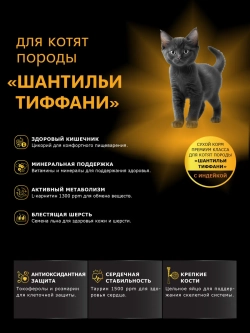 Корм для котят породы Шантильи Тиффани, с индейкой, 2 кг