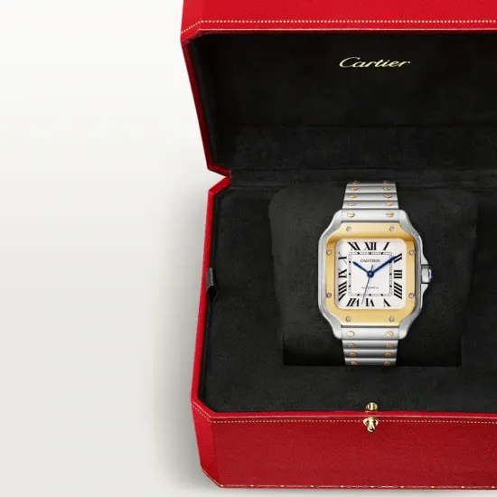 Часы Cartier Santos de Cartier в стальном корпусе с желтым золотом