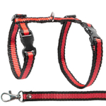 Комплект шлейка и поводок для кошек "Мегаполис", 400*300*85мм; 10*1500мм, Gamma