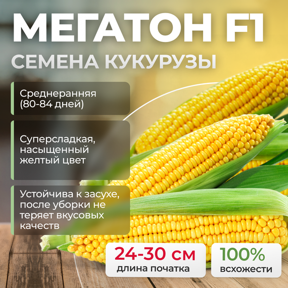 МЕГАТОН F1 семена кукурузы (Clause) культура
