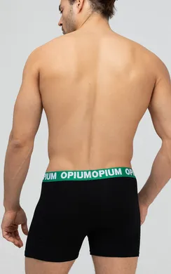 Мужские трусы R-152 Black