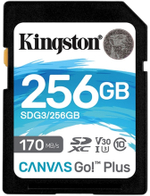 Карта памяти Kingston SDG3/256GB 256GB